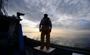 Les pêcheurs ont désormais eux aussi leur permis à points, instaurant des pénalités lors d'infractions graves aux règles de la politique commune de la pêche, a-t-on appris lundi auprès de la profession.
