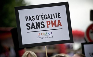 Manifestation pour les droits des homosexuels à Paris le 18 juin 2014.
