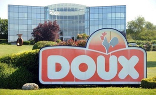 Le groupe Doux, leader européen de la volaille (3.400 salariés en France), a été placé vendredi en redressement judiciaire pour six mois faute d'accord avec ses créanciers, suscitant les critiques du gouvernement qui regrette une "décision personnelle" de son dirigeant.