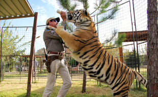 L'ancien gardien de zoo, Joe Exotic, et un de ses tigres