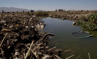 Des volontaires nettoient les berges d'une rivière se jetant dans le lac Titicaca en Bolivie, en juin 2015.