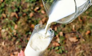 Illustration de lait.
