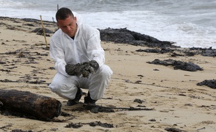 Des personnes nettoyant une plage du Var touchée par un épisode de pollution aux hydrocarbures