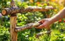Ne jetez plus vos branches coupées ! Offrez plutôt à vos enfants une cabane magique à moindre frais avec cette astuce récup