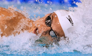 Florent Manaudou aux championnats de France le 1er avril 2016.