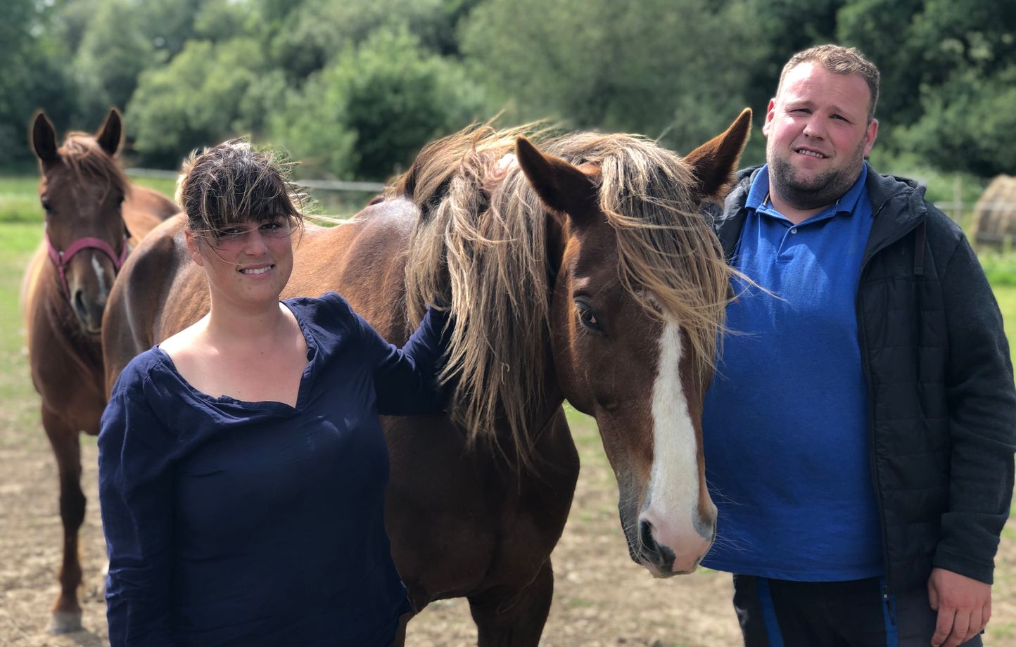 Ille et Vilaine Ce couple sauve des chevaux de course de l abattoir en les faisant adopter