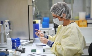 Des mutations d'un seul gène prédiraient si une forme de leucémie connaîtra une évolution rapide et fatale, selon une recherche publiée mercredi aux Etats-Unis qui pourrait changer la façon de diagnostiquer et de traiter ce type de cancer.