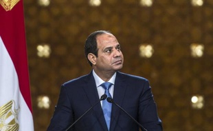 Le président égyptien Abdel-Fattah al-Sissi lors d'une conférence de presse au Caire le 8 novembre 2014