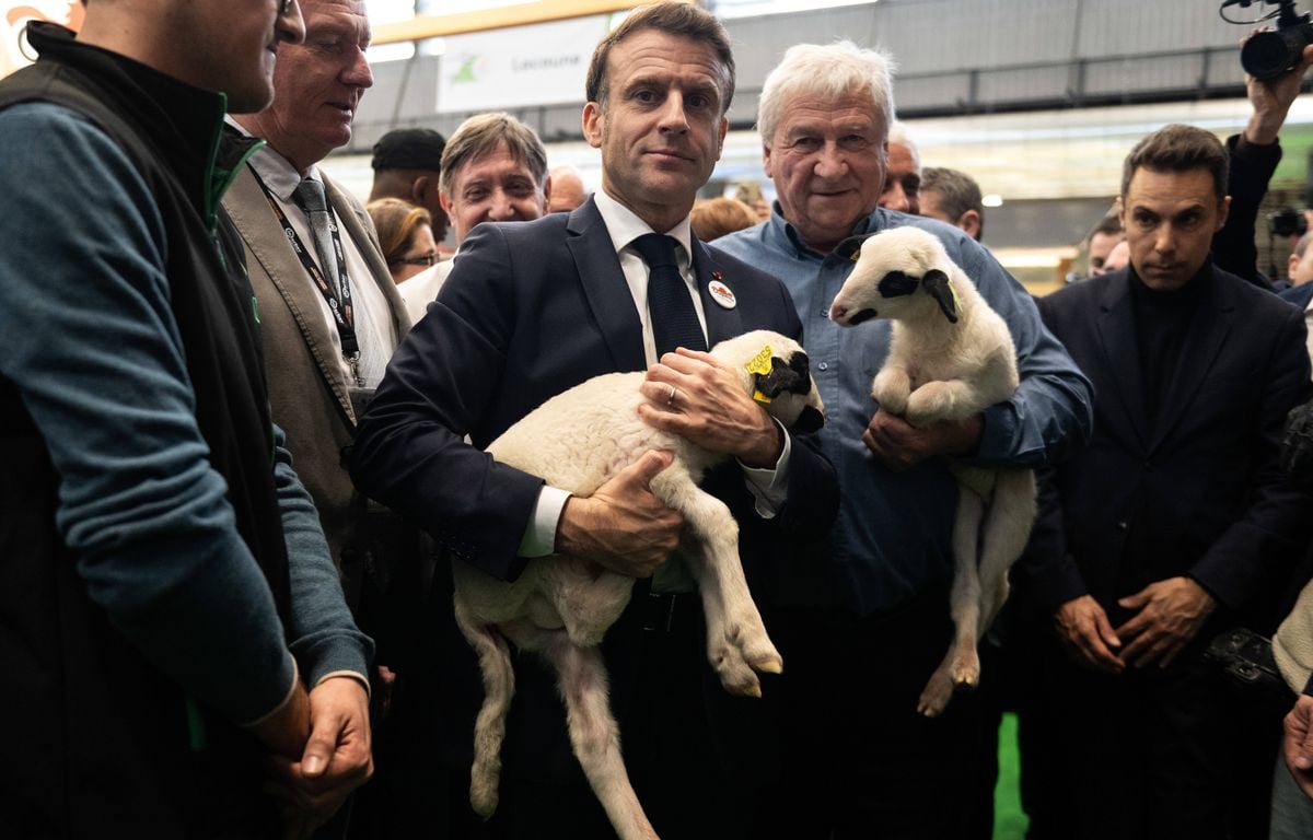 Mercosur : Emmanuel Macron promet aux agriculteurs le « non très ferme de la France » à l'accord « en l'état »