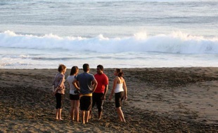 Un surfeur de 24 ans a été attaqué et grièvement blessé par un requin qui lui a sectionné la jambe droite samedi à lEtang-Salé-les-Bains, sur la côte sud-ouest de La Réunion.