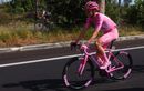 Pogacar a « encore progressé depuis le Giro », ça promet pour le Tour