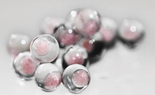 Pearl de Capsum.