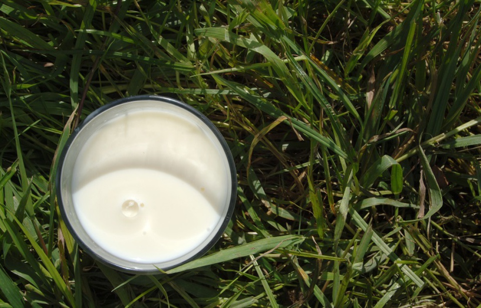 Solutricine Retiré De La Vente Pourquoi Journée mondiale du lait: Pourquoi avez-vous retiré le lactose de votre