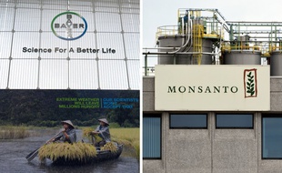 Bayer va supprimer le logo Monsanto, apprend-on ce lundi.