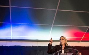 La présidente du FN Marine Le Pen s'exprime lors d'un meeting le 7 février 2015 à la Roche-sur-Foron, en Haute-Savoie