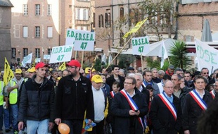 Des élus locaux, membres de la Coordination rurale et des agriculteurs de la FDSEA manifestent dans les rues d'Albi (Tarn) pour le maintien du projet de barrage de Sivens, le 15 novembre 2014