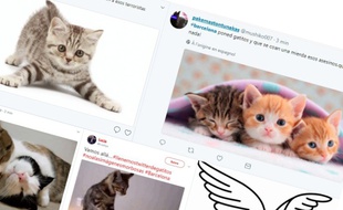 Capture d'écrans de tweets liés au hashtag #Barcelona, le 17 août 2017.