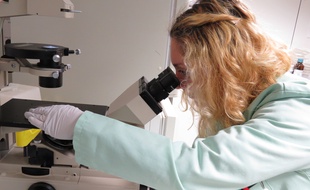 Travail en laboratoire à l'Institut de recherche en santé de l'université de Nantes (IRUN)