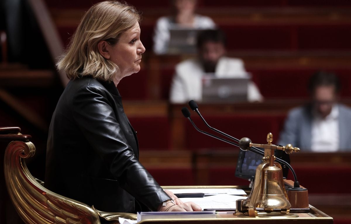 Pétition contre la loi Duplomb : « Un débat ne pourra en aucun cas revenir sur la loi votée », prévient Yaël Braun-Pivet