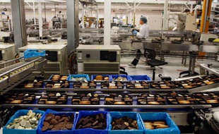 L'usine Delacre, fabricant de la fameuse cigarette russe, fête ses 50 ans. La marque, qui appartient au groupe britannique United Biscuits, est leader en France sur le marché des assortiments. Nieppe, le 24 novembre 2011.