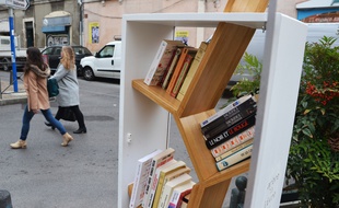 Le premier arbre à livres de Montpellier installé sur la place Jaumes.
