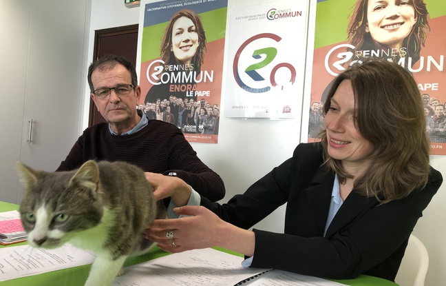 Municipales 2020 à Rennes : La France insoumise présente un chat sur sa liste