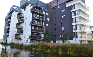 Ginko est un quartier résolument contemporain, aux formes architecturales diversifiées.