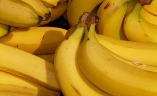 Une demi-tonne de cocaïne était caché dans un chargement de bananes.