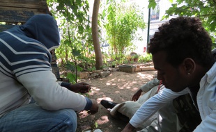 Trois migrants ce mardi matin dans le jardin partagé du Bois Dormoy dans le 18e arrondissement