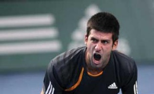 Novak Djokovic à Bercy, le 15 novembre 2009.