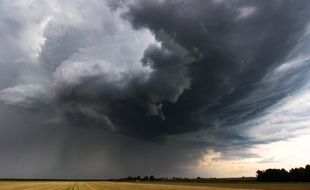 La pluie arrive.