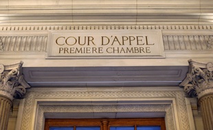 Façade de la Cour d'appel de Paris (image d'illustration).