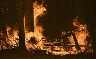 Dans un incendie au nord de Sydney. (illustration)