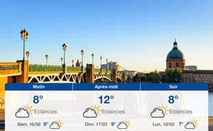 Météo Toulouse: Prévisions du vendredi 15 février 2019