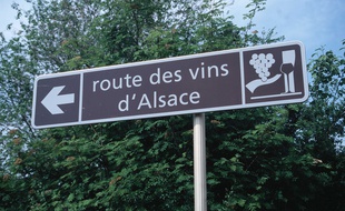 La route des vins en Alsace. (Illustration)