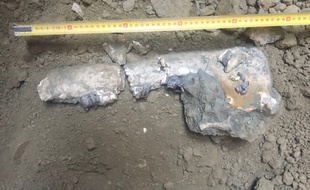 La mâchoire retrouvée à 15 mètres de profondeur sur le chantier du métro appartiendrait à un rhinocéros préhistorique.
