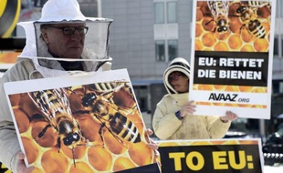 Une coalition d'intérêts divergents au sein de l'Union européenne a empêché vendredi la constitution d'une majorité pour interdire pendant deux ans plusieurs pesticides mortels pour les abeilles, a-t-on appris de sources européennes.