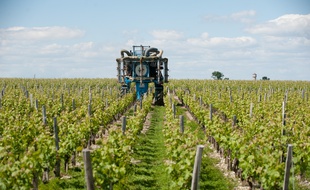 Medoc, 14 mai 2014. - Tracteur d'epandage dans les vignes du Medoc. - Photo : Sebastien Ortola