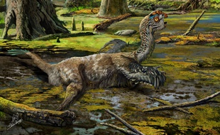 Dessin d'artiste du «Tongtianlong limosus» nouveau dinosaure découvert en Chine.