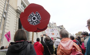 Un panneau "stop pesticides" est brandi lors d'une manifestation au maire de Langoüet Daniel Cueff, en octobre 2019 à Rennes.