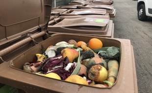 Les poubelles de bio-déchets - Alchimistes