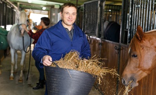 Les repas des chevaux de course sont étudiés au gramme près.