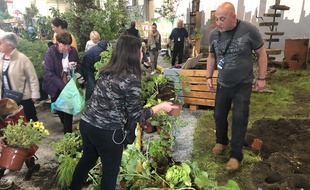 Pour évacuer les végétaux, les Floralies organisaient une braderie ce lundi
