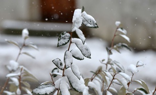De la neige a fait son apparition lundi 30 avril, dans le nord de l'Eure (illustration).