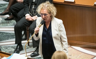 Muriel Pénicaud, la ministre du Travail, à l'Assemblée nationale, mardi.