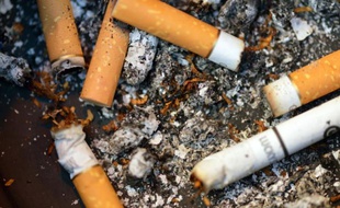 Le poids économique de la consommation d'alcool et de tabac en France s'établit à 120 milliards d'euros pour chacune de ces substances, bien loin de celui des drogues illégales, évalué à 8,7 milliards, selon un rapport