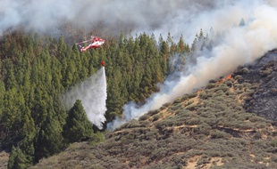Un hélicoptère combat un incendie de forêt aux Canaries, le 10 août 2019.