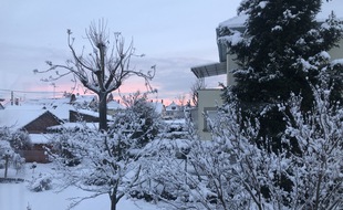 Entre le 14 et le 18 janvier, la neige avait recouvert l'agglomération strasbourgeoise.