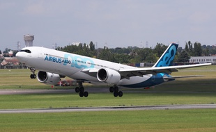 Un Airbus A330 en démonstration lors du salon aéronautique du Bourget, le 17 juin 2019.