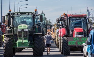 Des tracteurs sur la rocade de Toulouse lors d'une opérationde la FDSEA 31, le 8 octobre 2019.